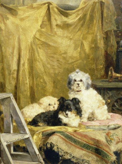 Drei Hunde von Charles van den Eycken